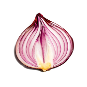 Onion Search Engine Logo